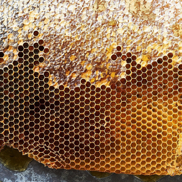 Parties, Propolis & Immune Recipes